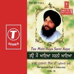 Tau Main Aaya Sarni Aaya (Vol. 3) - Bhai Gursharan Singh Ji Song Download